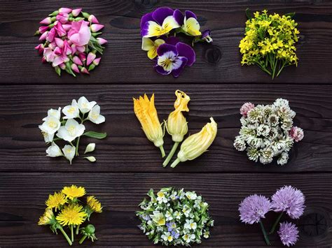 Make the dishes blossom with these five edible flowers.
